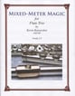 Mixed-Meter Magic Flute Trio cover